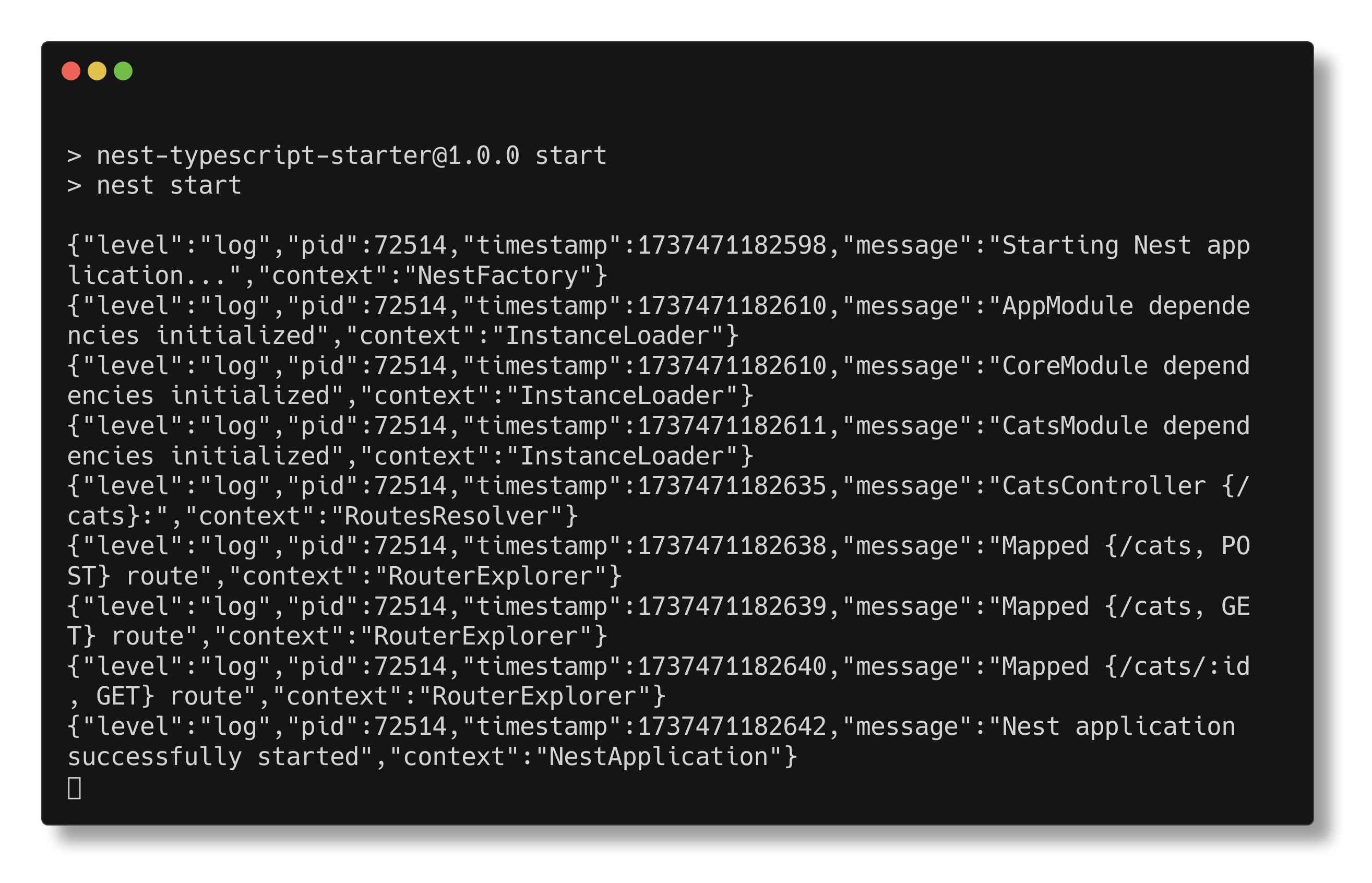 JSON Logger Output Example